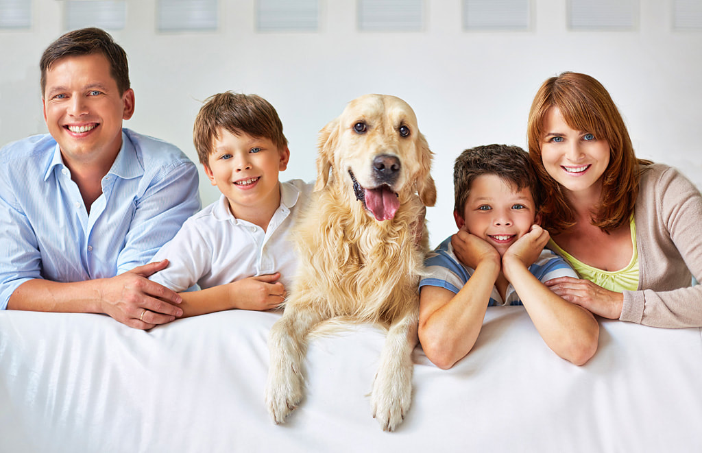 Family portrait with pet in home back of couch