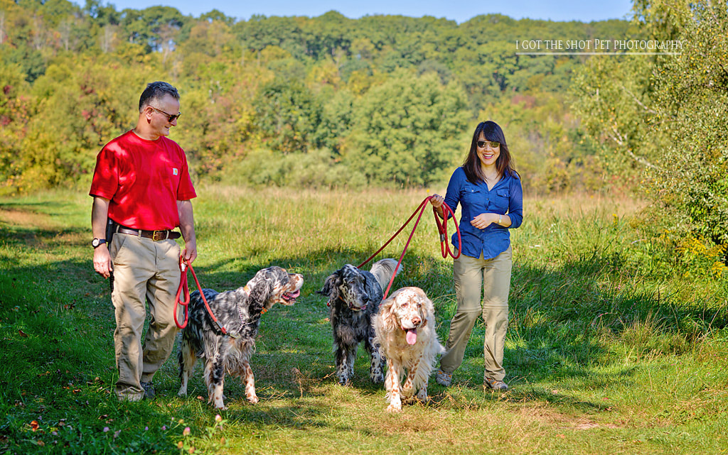 Lifestyle Family Portrait with Three English Setter dogs outdoors walking