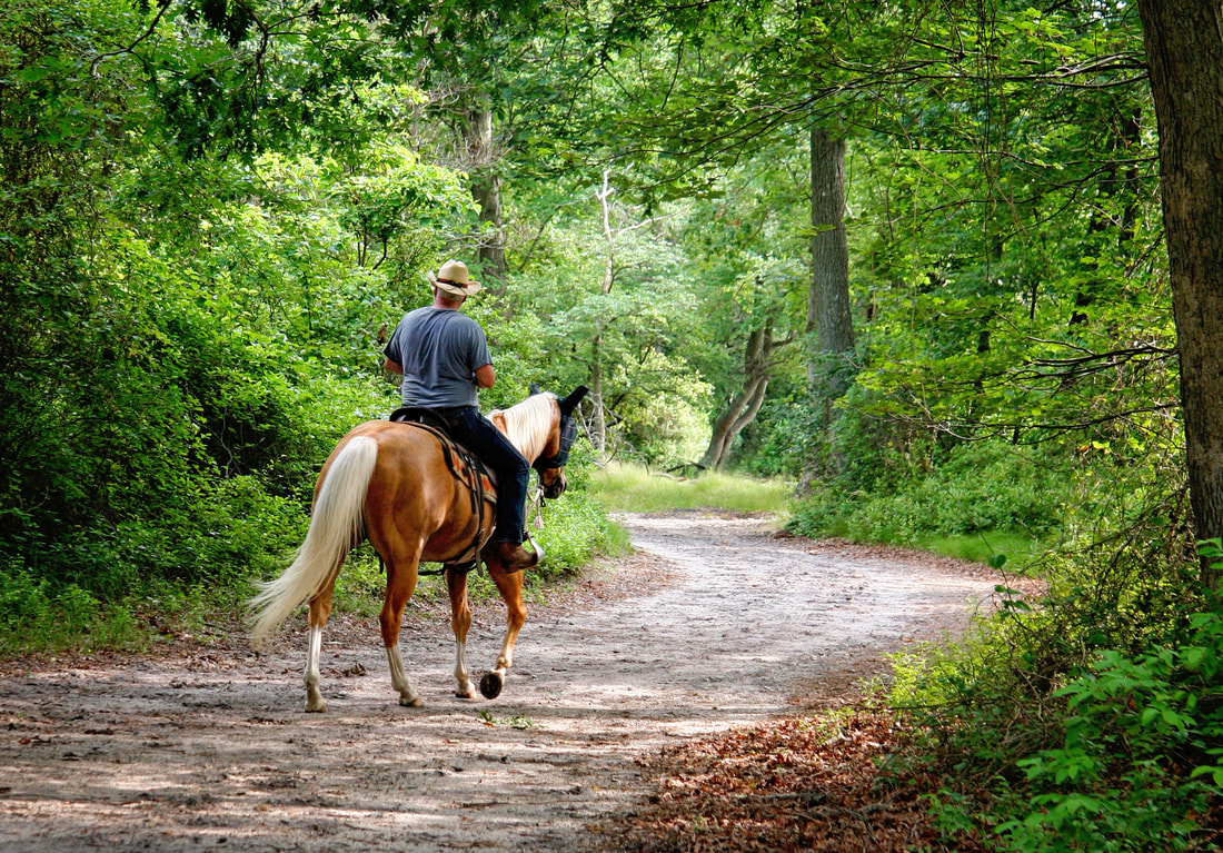 Man on horseback trail riding summer